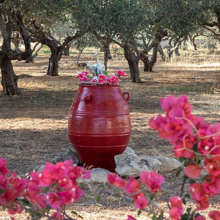 Xirouchakis Farm Daire Kíssamos Dış mekan fotoğraf